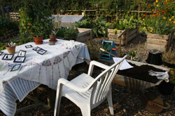 Allotment Image 2
